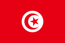 mohamed-ali-najar-tunisia.png