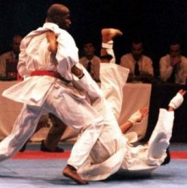 Wayne cheap otto karate